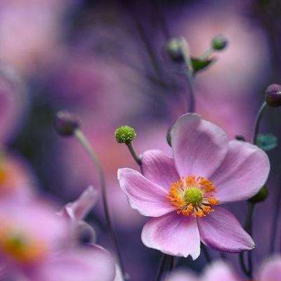 金沙集团9500手机app下载